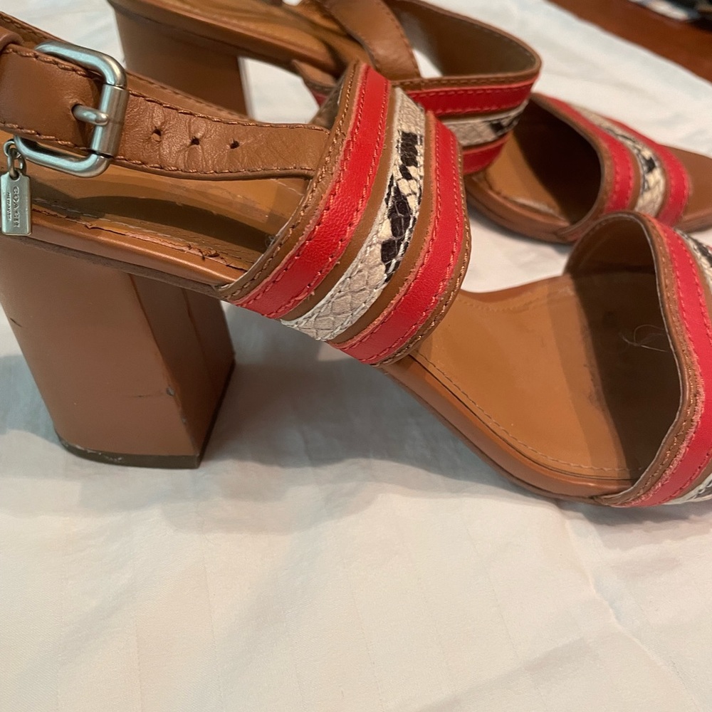 Coach - Size 11B - Picture 3 of 4